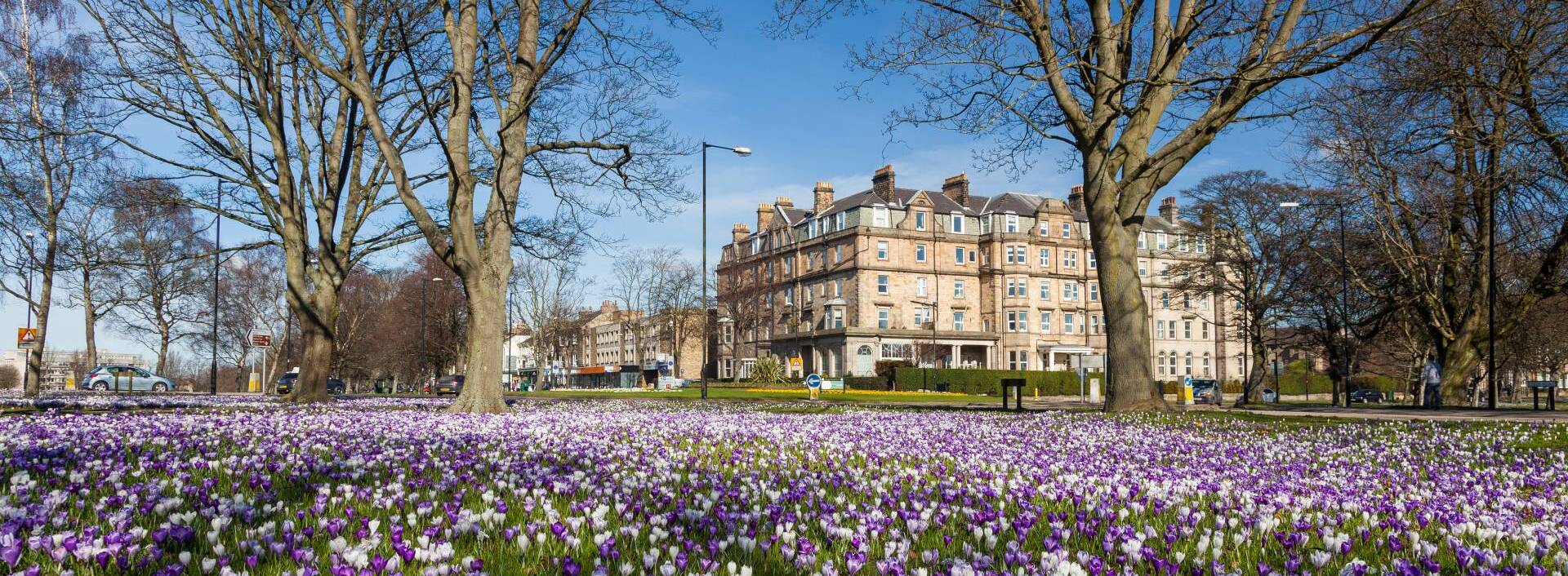 Harrogate