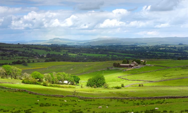 land development advice yorkshire